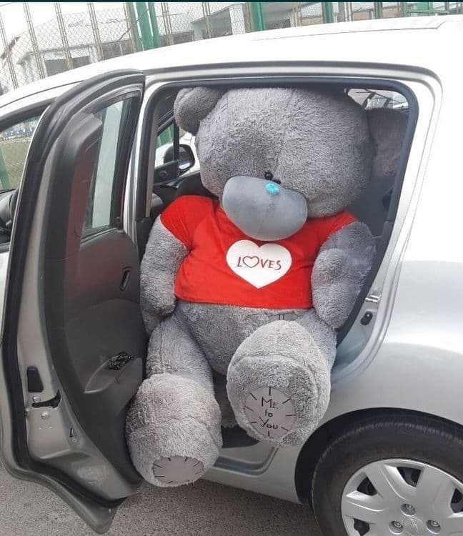 Teddy ARZON narxda — 4
