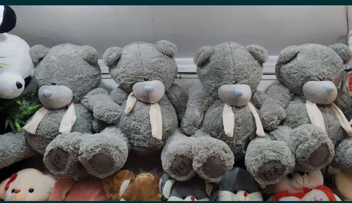 Teddy ARZON narxda — 6
