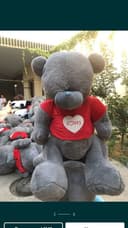 Teddy Тедди 30 sm dan 3 metrgacha