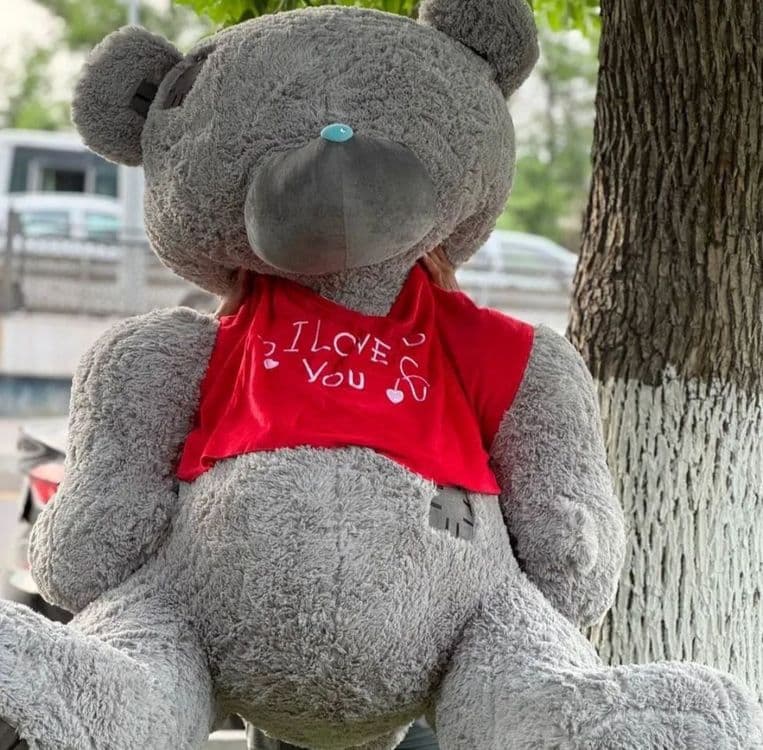 Teddy Тедди 30 sm dan 3 metrgacha — 4