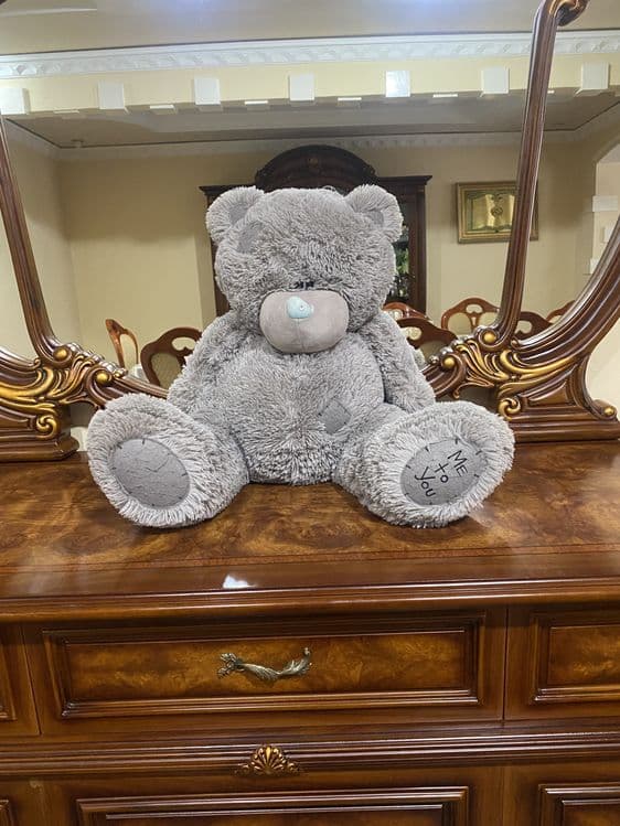 Teddy ayiq sotiladi — 1