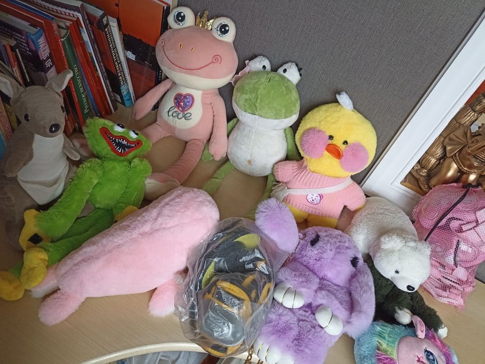 Игрушки все за 250 000 — 3