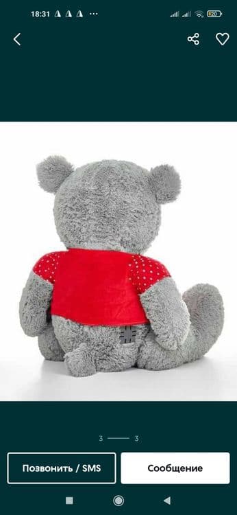 Teddy teddi original xitoy 30sm. 3metrgacha — 3