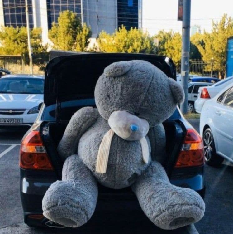 Teddy ayq myahkiy Сидушка Sidushka myaxkiy igrushka slon teddy 40sm 3m — 1