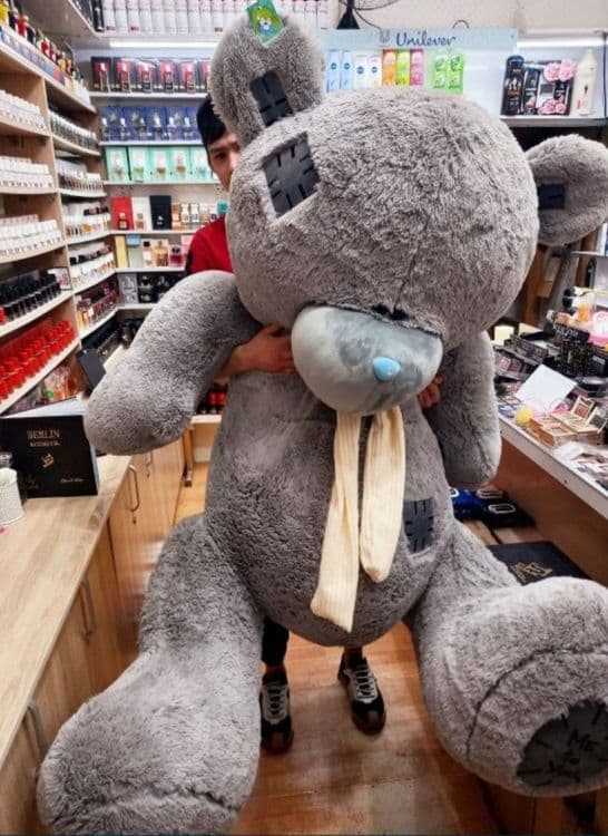 Teddy ayq myahkiy Сидушка Sidushka myaxkiy igrushka slon teddy 40sm 3m — 3