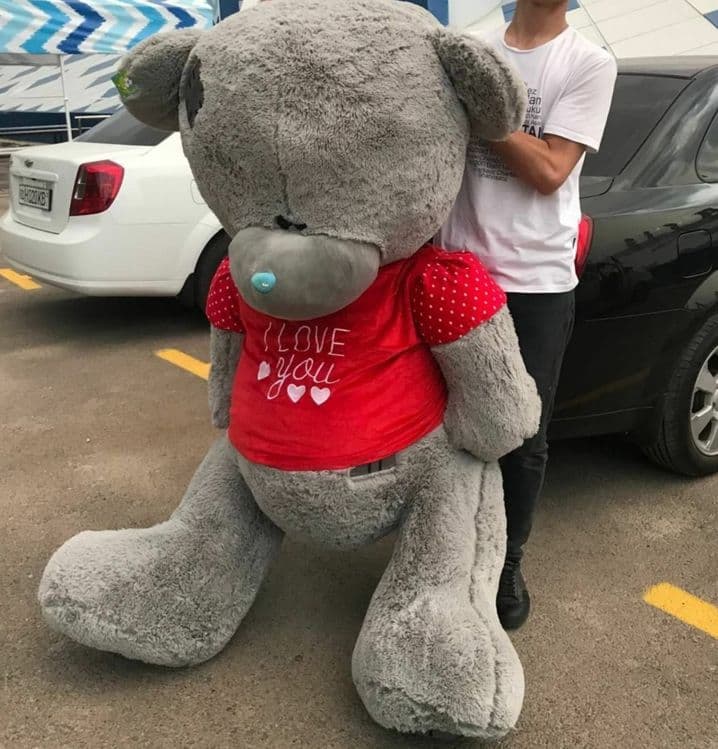 Teddy ayiqchasi sotiladi... — 2