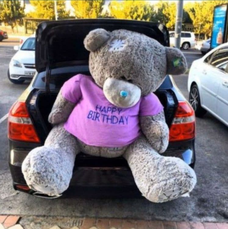 TEDDY,Teddi 1m_1.60sm — 2
