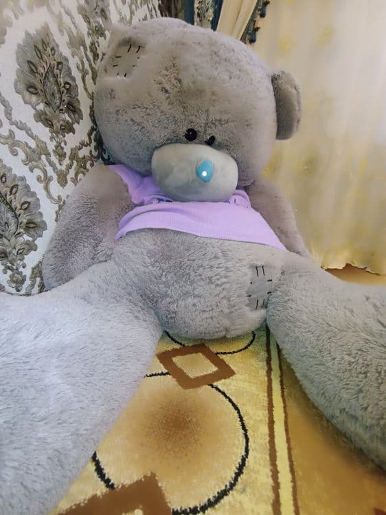 Tedy ayiq sifat zor narxi:500.000 — 2
