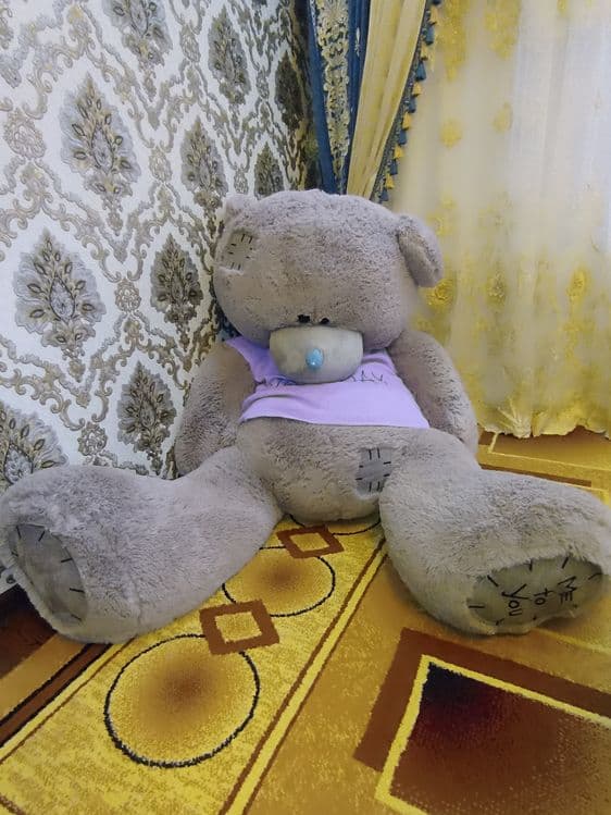 Tedy ayiq sifat zor narxi:500.000 — 3