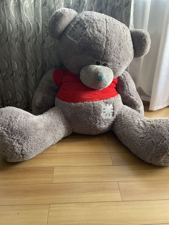 Mishka Teddy bear — 1