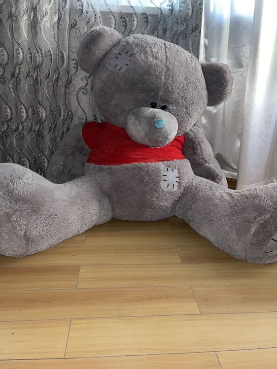 Mishka Teddy bear — 2
