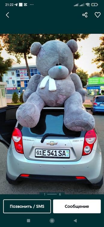 Teddi Teddiy Teddy (3m) — 2
