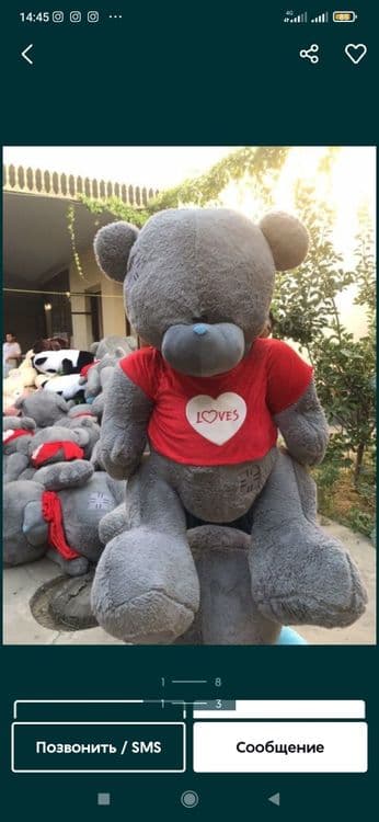Teddi-Teddy-Ayiqchalar_Xasanboyda — 2
