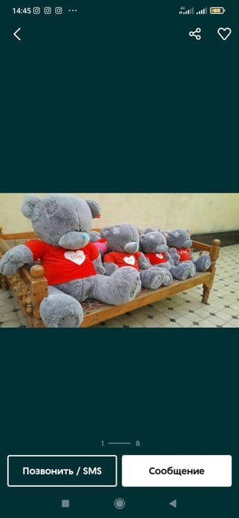 Teddi-Teddy-Ayiqchalar_Xasanboyda — 3