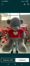Optimi: Teddy Teddi Teddiy / ТЕДДИ 30sm 3mgacha