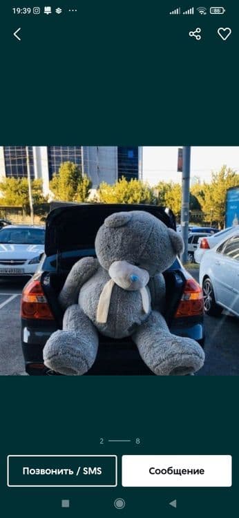 Optimi: Teddy Teddi Teddiy / ТЕДДИ 30sm 3mgacha — 7