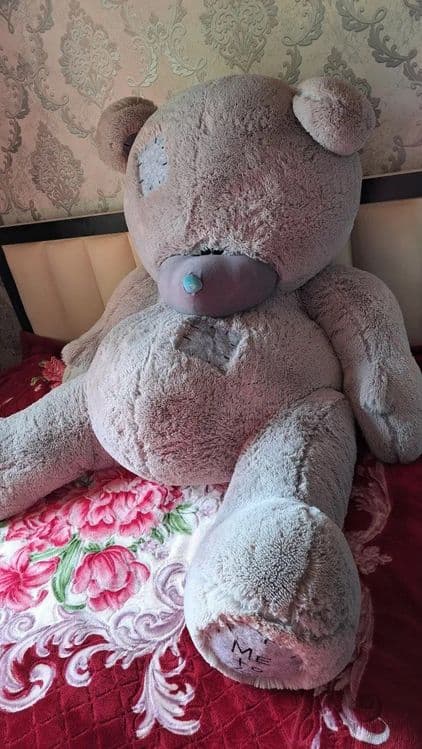 Teddy ayigʻi 2.40sm — 1