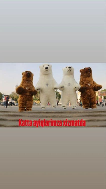 Ayiqlar sotiladi | Ayiq sotiladi — 7