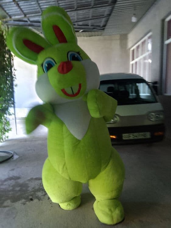 Afarmlena TEDDY quyon — 2