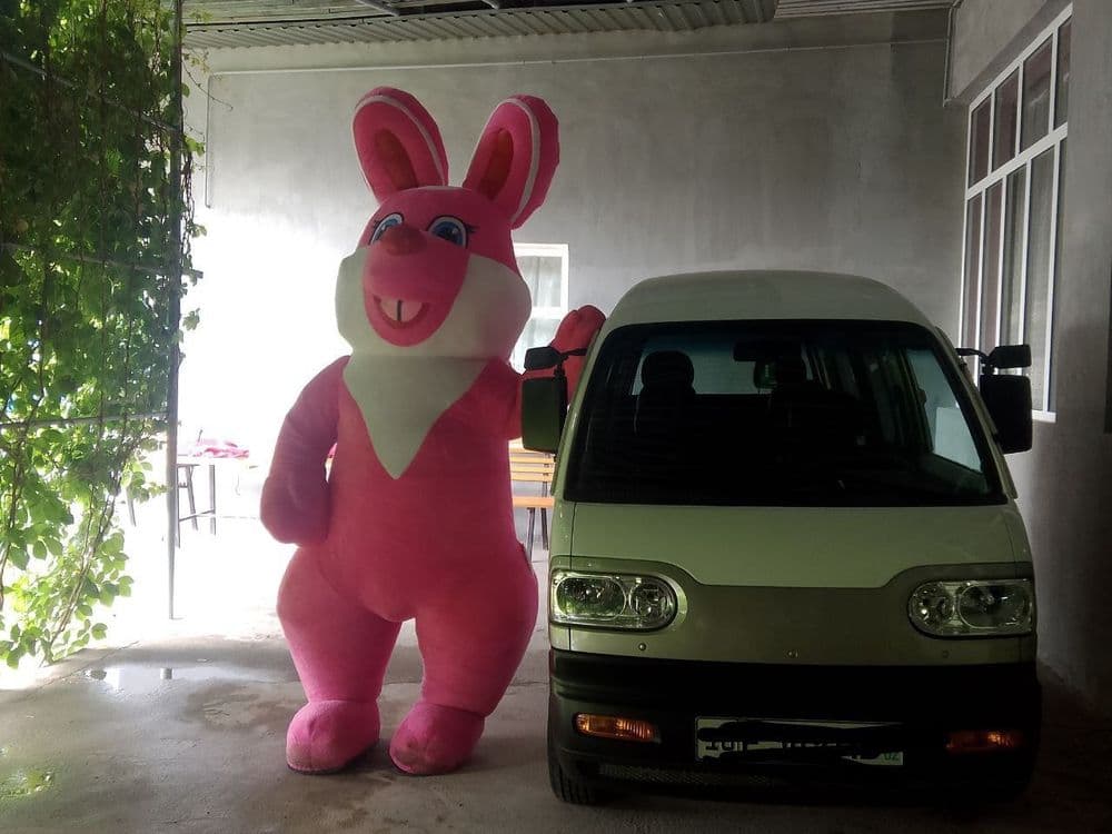 Afarmlena TEDDY quyon — 3
