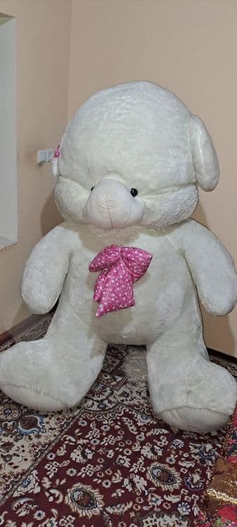Arzirli sovģa Ayiq. — 2