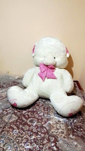 Arzirli sovģa Ayiq. — 3