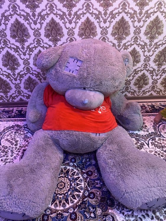 Ayqicha teddy buyi 2,2 metr — 1
