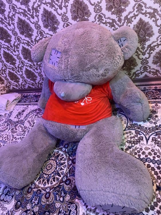 Ayqicha teddy buyi 2,2 metr — 2
