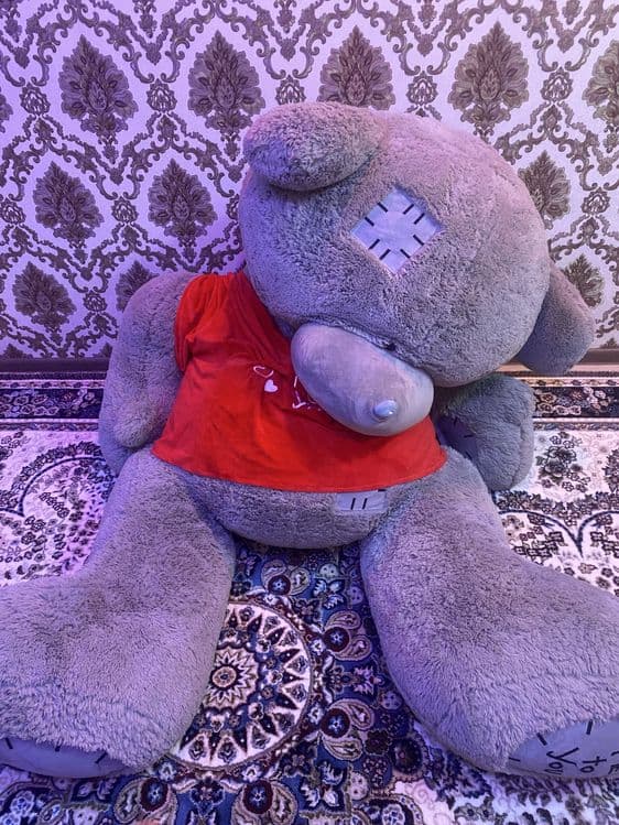 Ayqicha teddy buyi 2,2 metr — 3