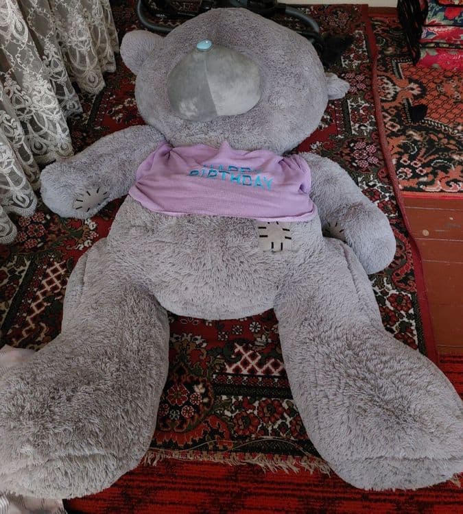 Teddiy ayiq xolati yang — 4