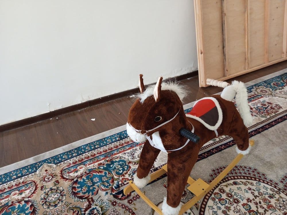 Баллар ушын ат новый подаркаға келген — 2