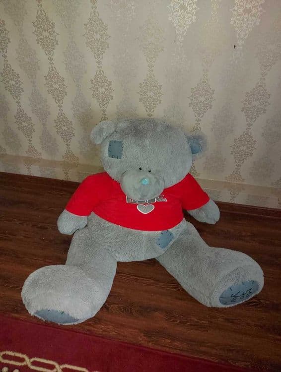 Продаётся медведь Teddy — 1