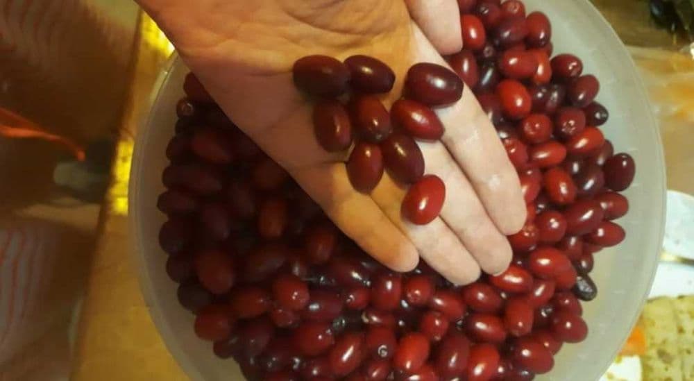 Кизил вкусно и полезно — 2