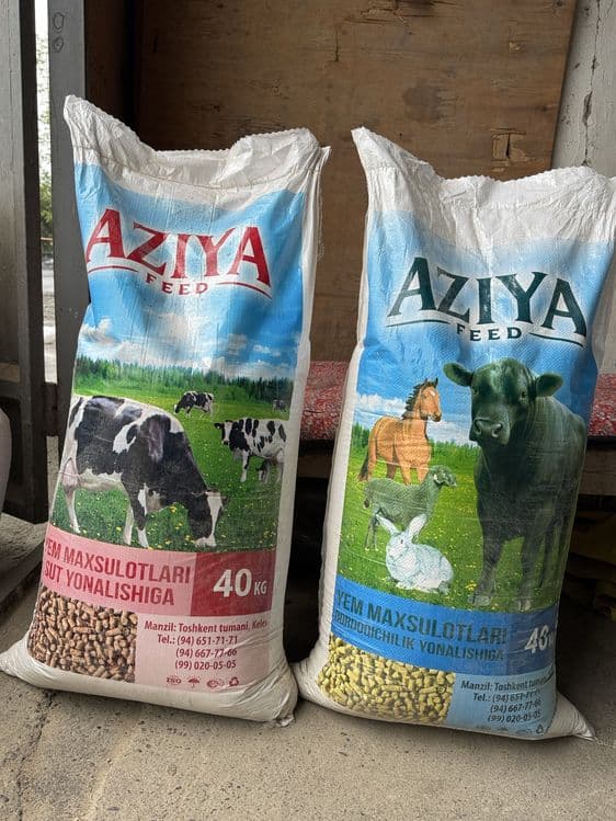 Aziyafeed bordoqchilik va sut yonalishiga novvos sigir va qoylarga yem — 1