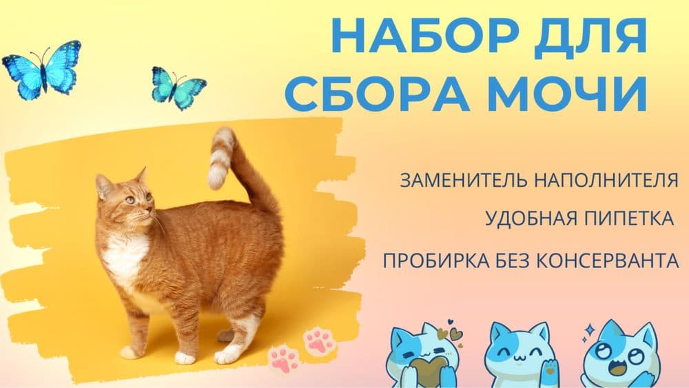 Наполнитель для сбора мочи у кошек — 5