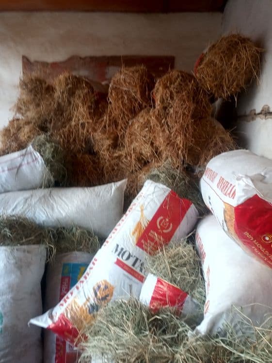 Xashak qopda sotiladi donasi 10000 so'mdan — 1