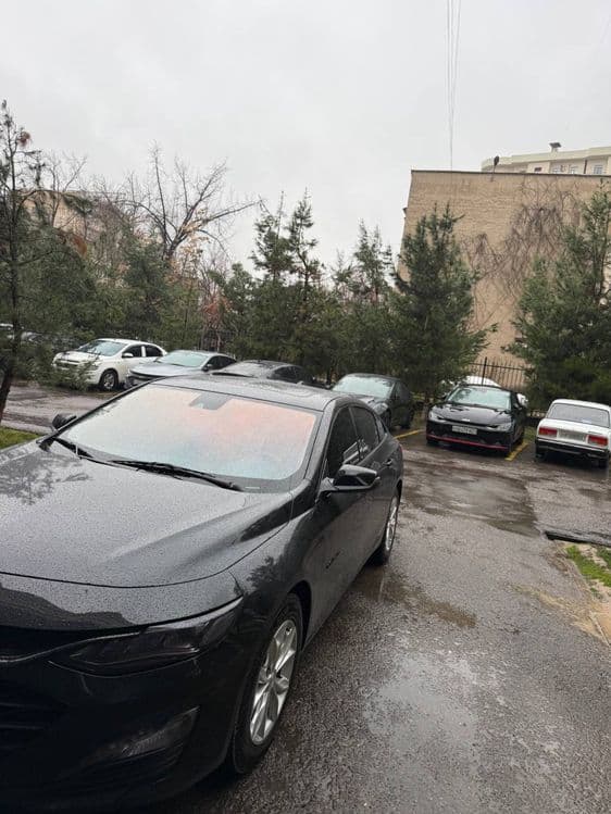 Solntsa zashita Tonirovka Bronirovka Laminatsiya sifatli xizmatlarda — 2