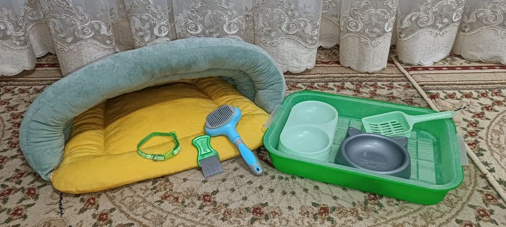 Посуды для кошки: 2 Миски, латок+лопатка, лежанка, расческа, ошейник — 7