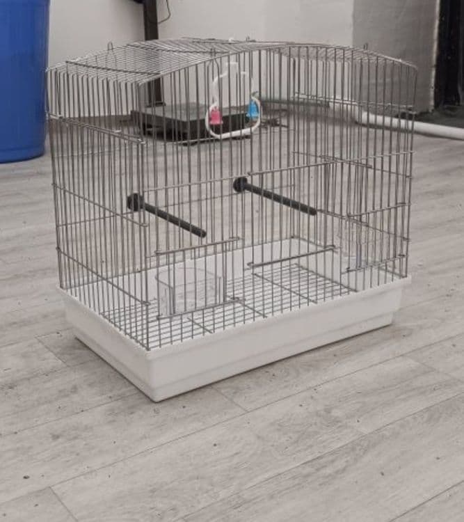 Kletka sotiladi kotta oq rang — 1
