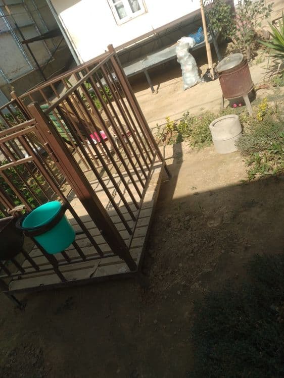 Qoyxona,qiyoyga hona yasasb tayyor qoy katagi — 2