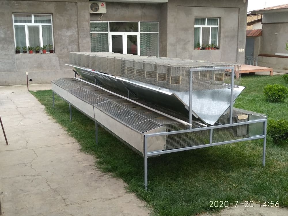 Клетка .Куёнлар  ва Жужа учун. — 6