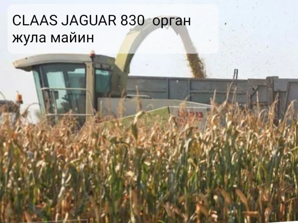 Силос сотилади бохорги домик нархи 1100 сом жойида  навал холода 15 т — 3