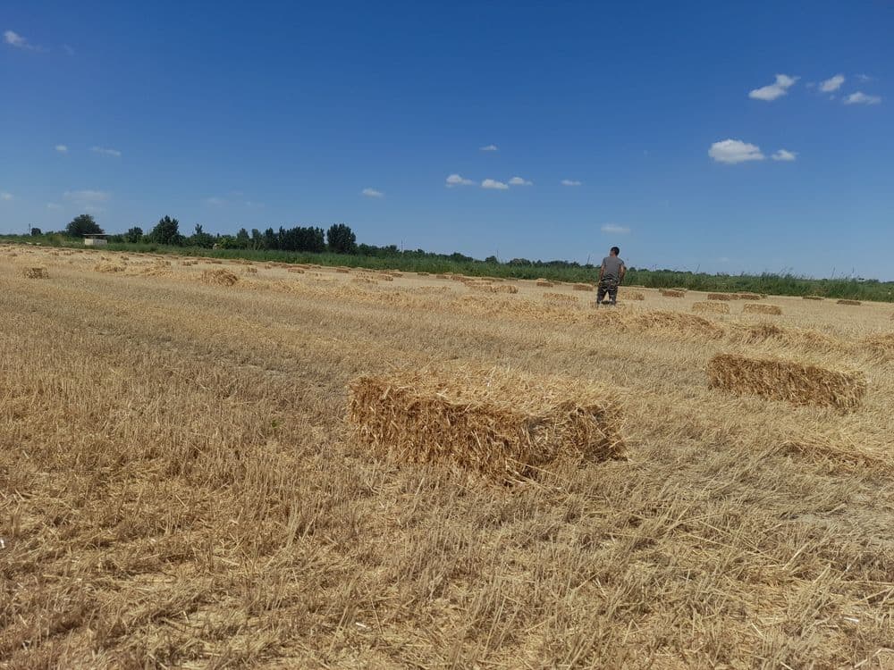 Сомон пресс арпаникиТез сотилади — 1