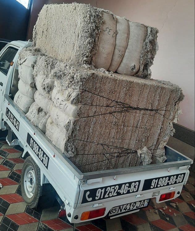 Mol va Qoylar uchun paxta — 1