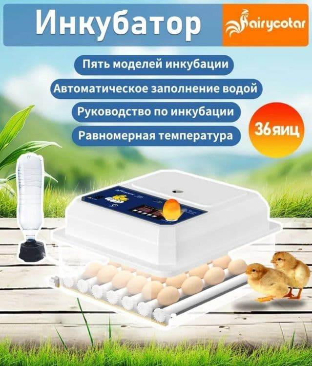 Инкубатор полностью автоматический — 1