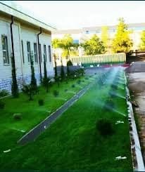 Gazon ekish | tayyor gazon | натуральный рулонный газон — 4