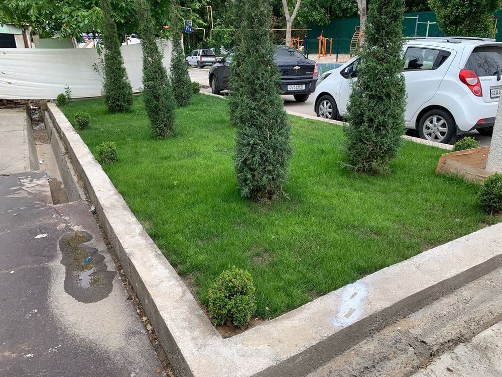 Gazon ekish xizmati — 5