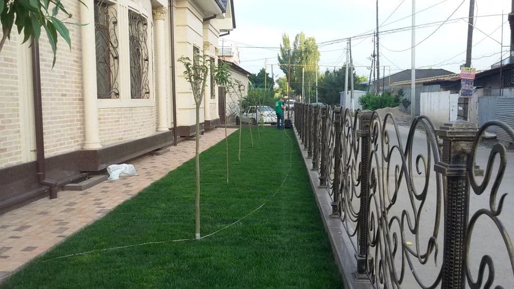 Готовые рулонные газоны оптом. — 5