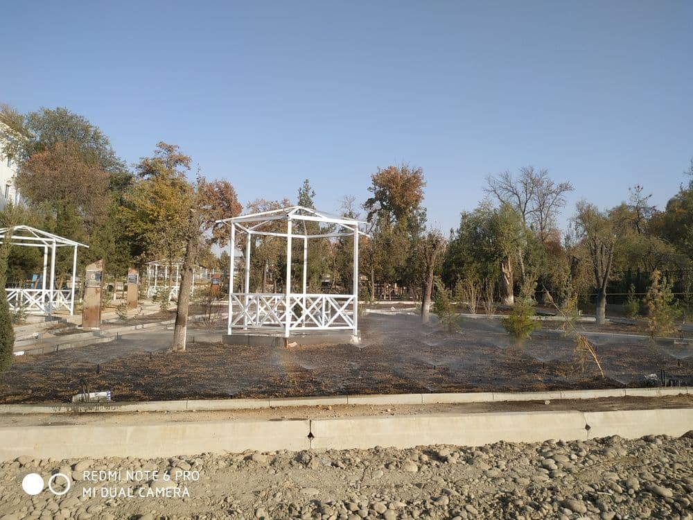 Газоны рулоны оптом — 4