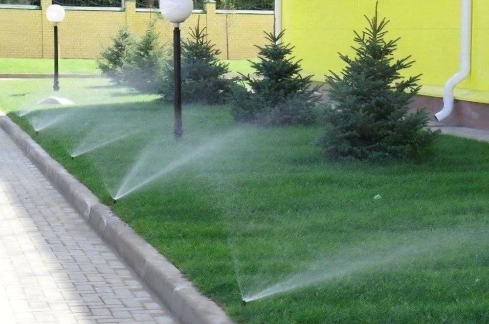Газон рулонный ,посевной. Микроклимат ,сетка от солнца — 4